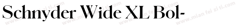 Schnyder Wide XL Bol字体转换